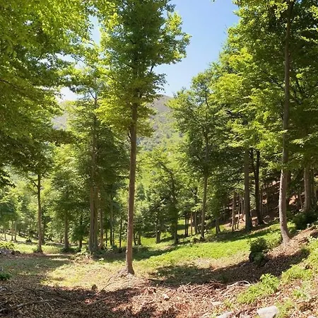 Il Rustico Panzió 4*